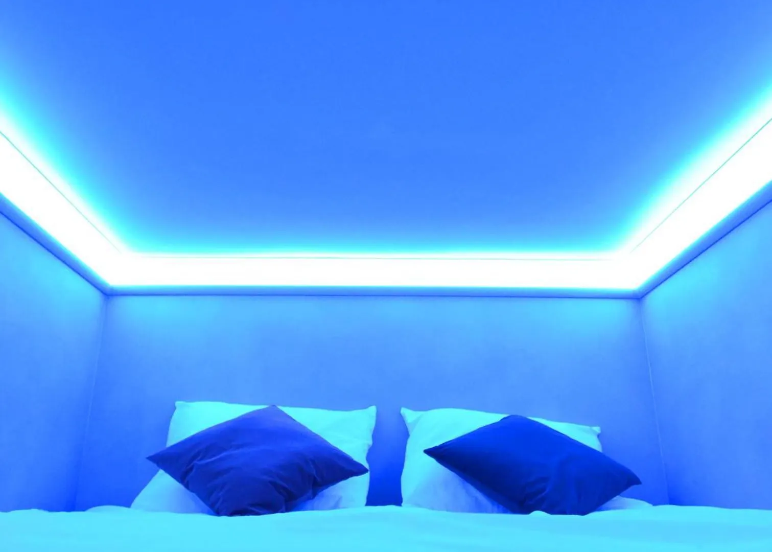 The Hyve Capsule Hostel Amsterdam